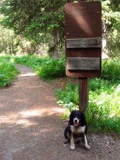 Say hello to Cosmo (he comes into the story later).