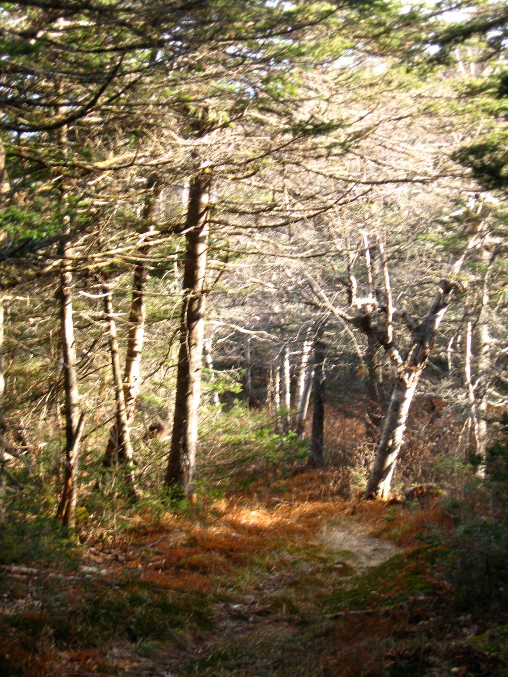 Stinson on a Cold&nbsp;Tuesday