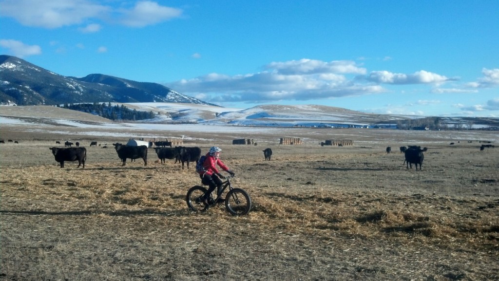 Felix Canyon: Back in the&nbsp;Saddle