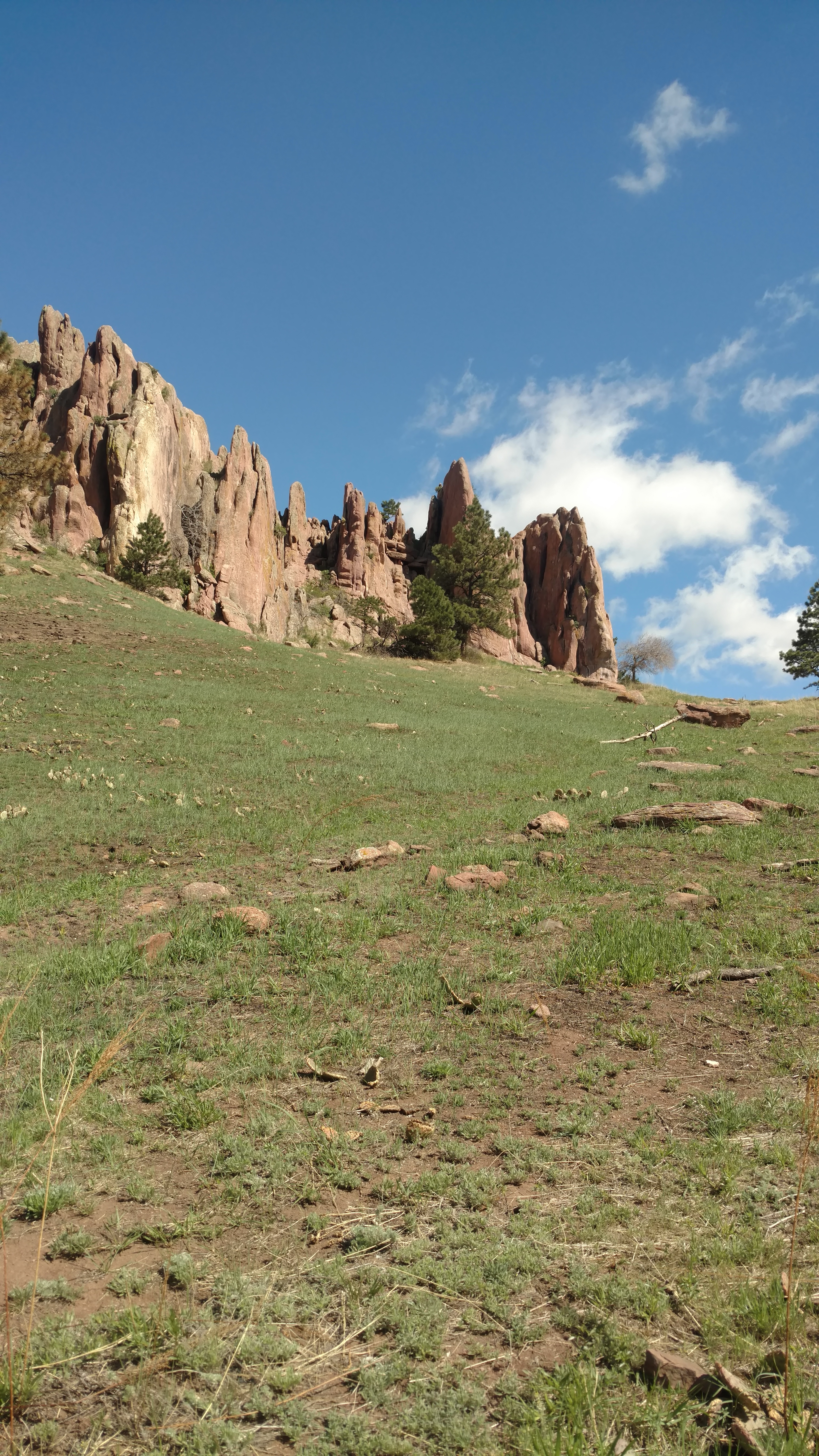 IMG_20170428_101742556