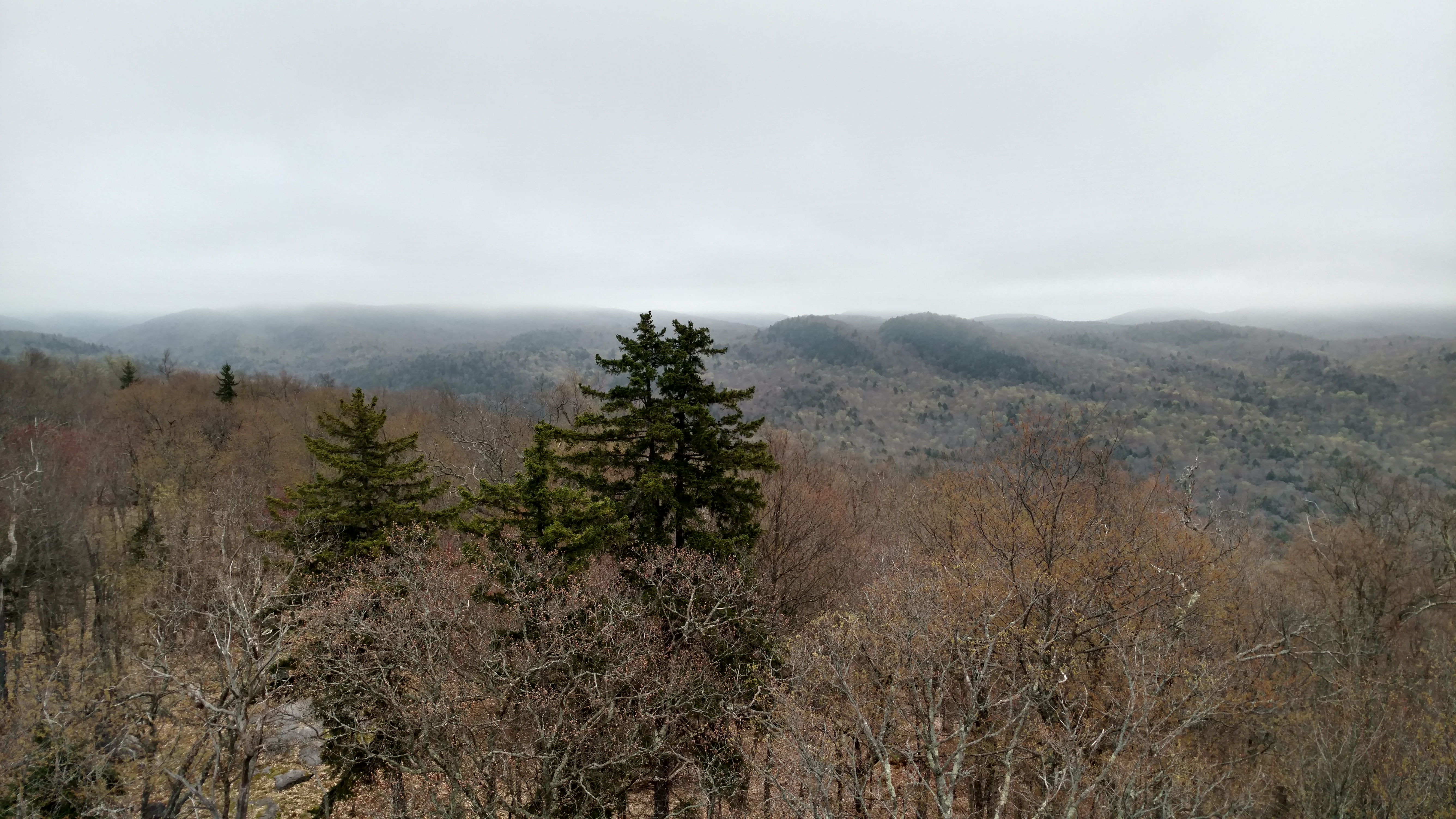 IMG_20170501_074952207_HDR