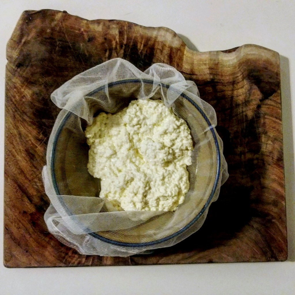 CSA Friday 4:&nbsp;Paneer