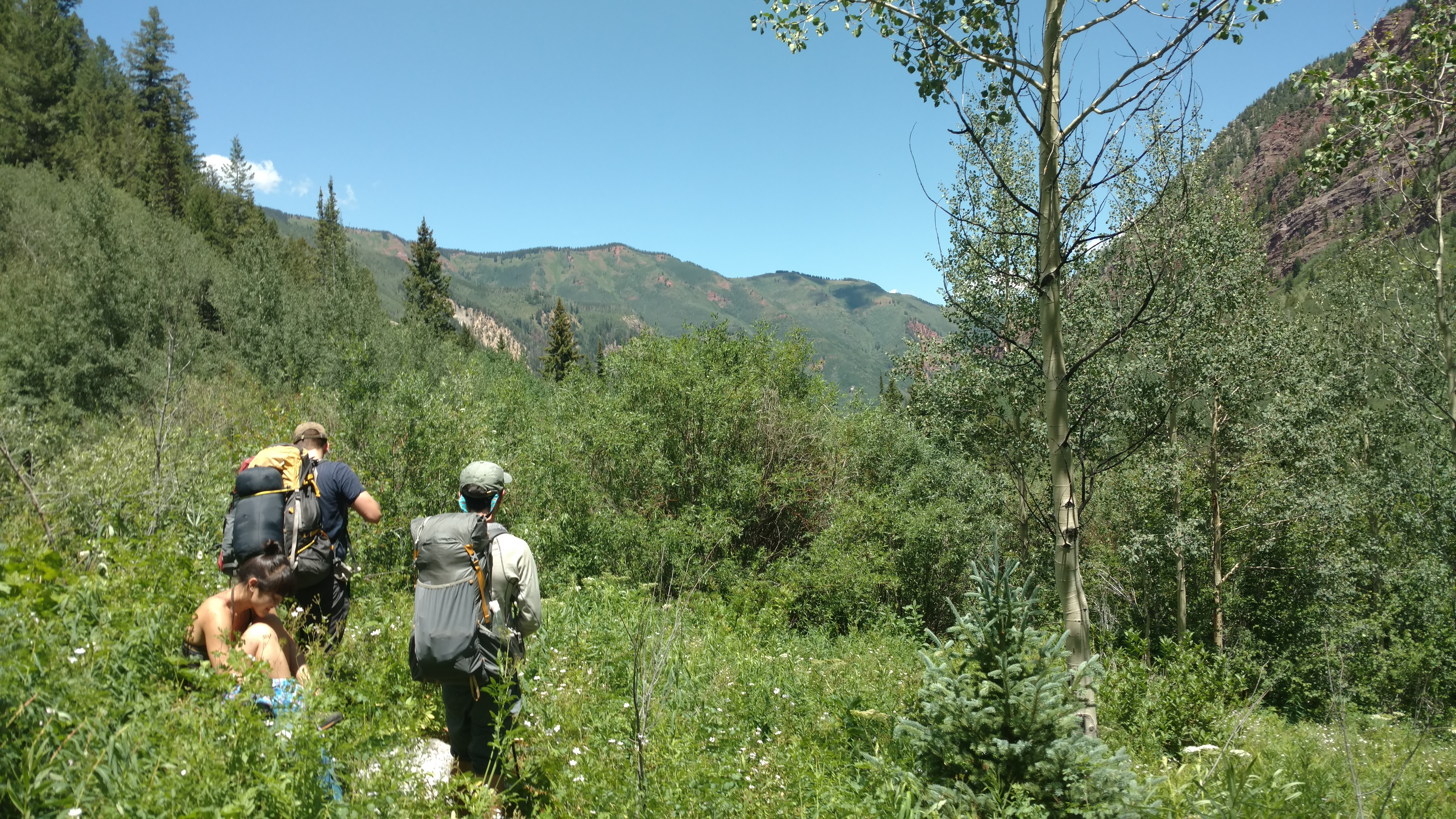 IMG_20170715_130345993