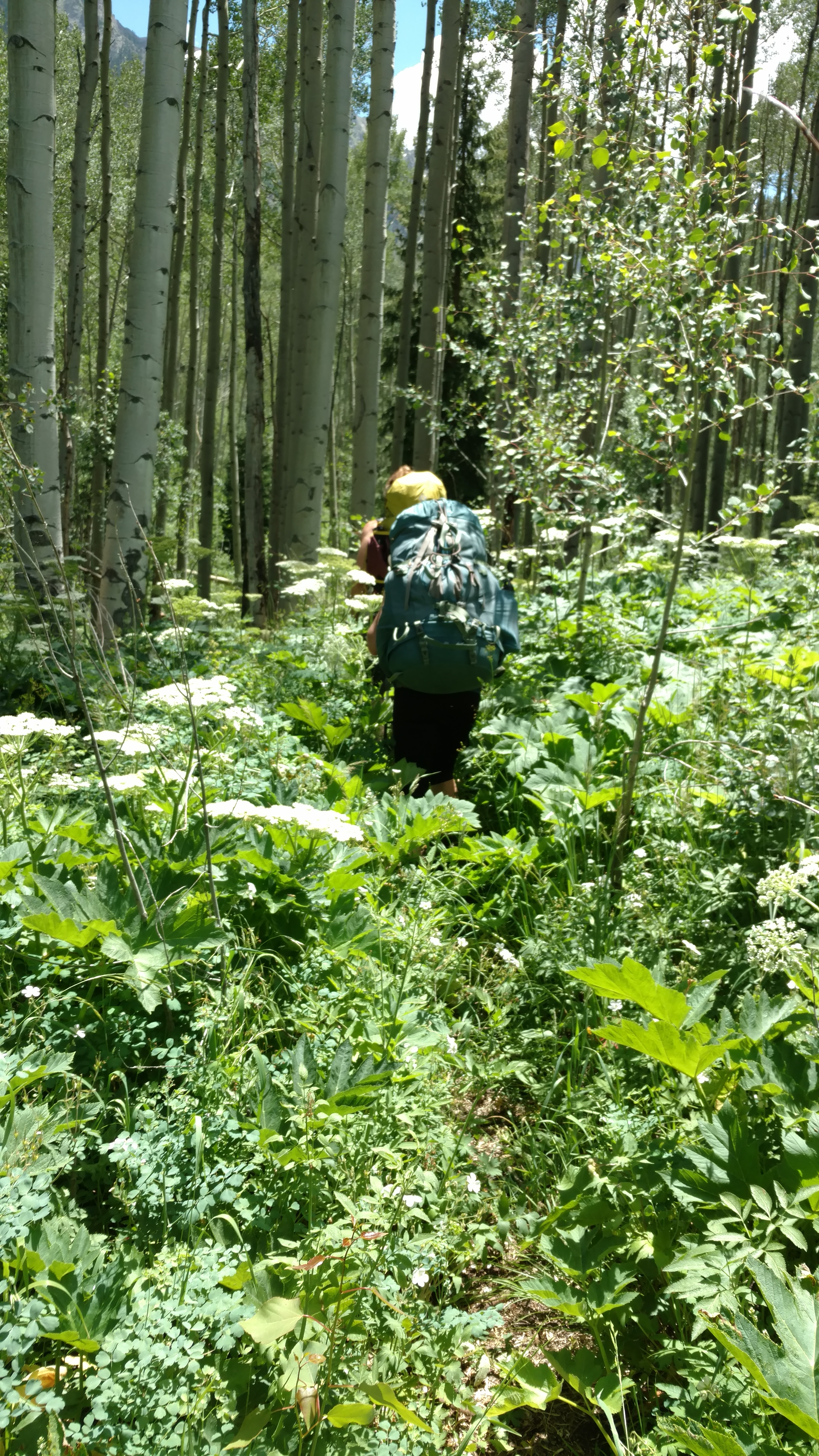 IMG_20170715_130722399