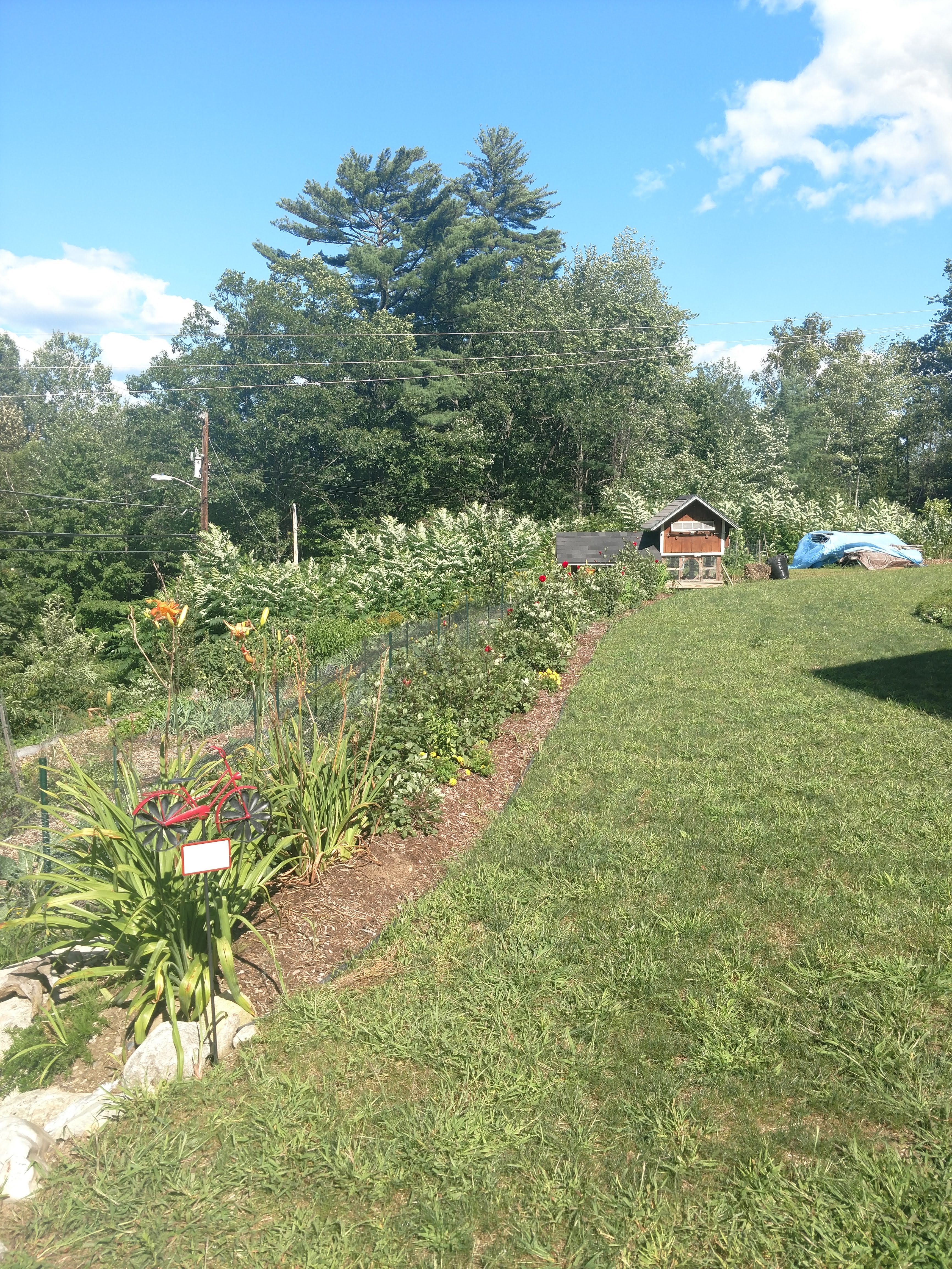 img_20180823_150904307