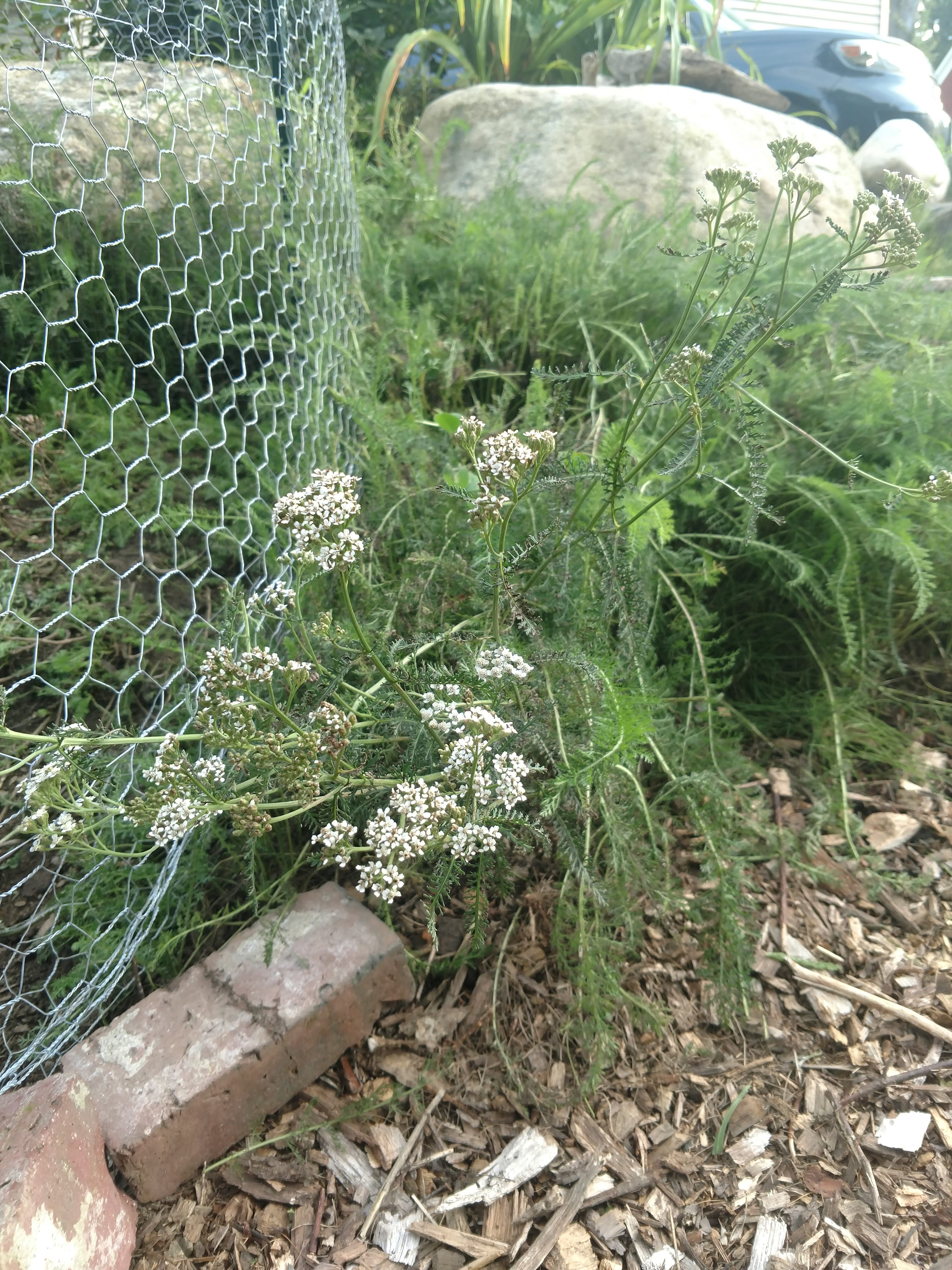 img_20180823_174049215