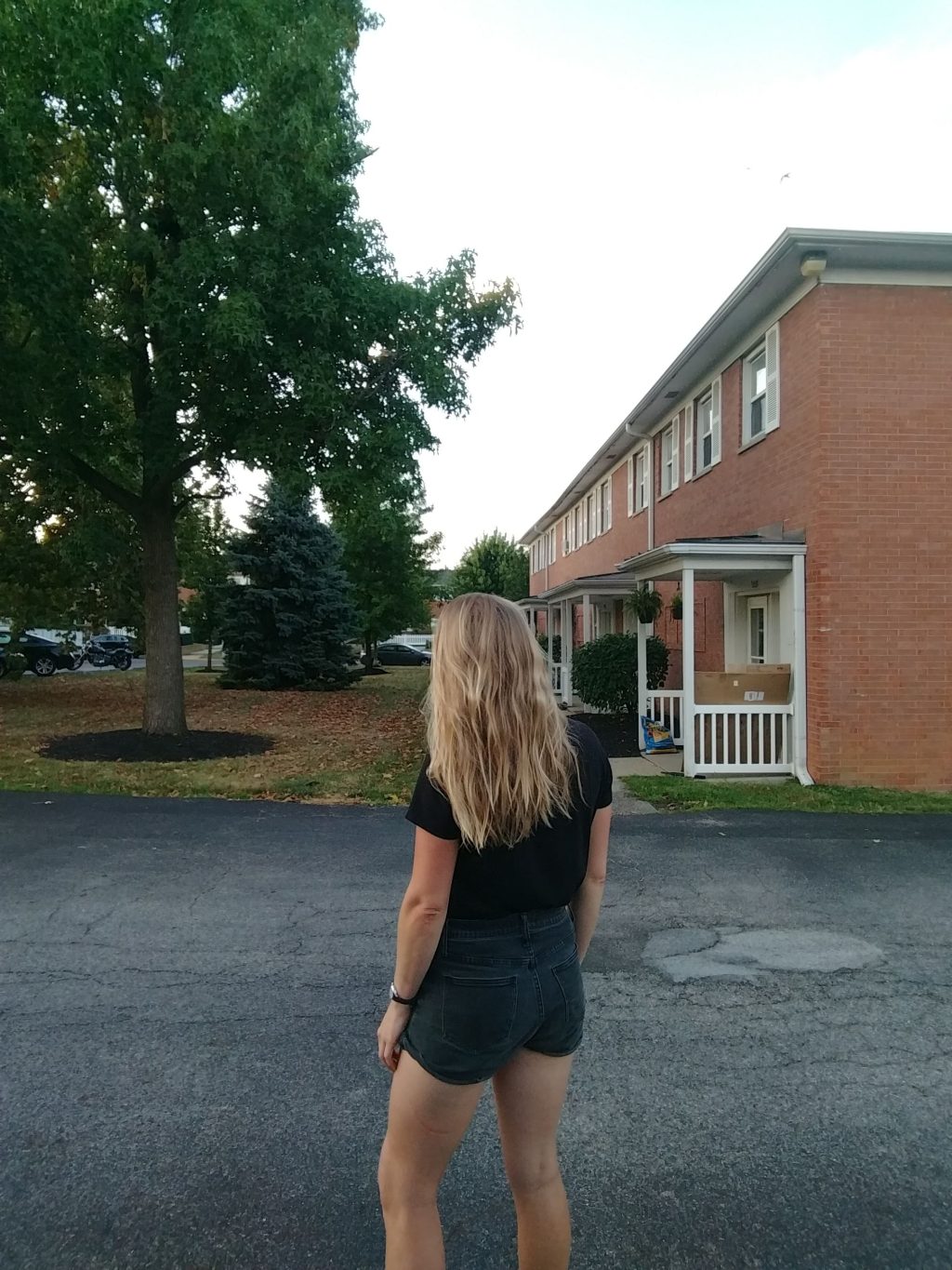 Birthday Announcement: Molly is Going to Shave Her Head. Here’s why. (#dramaticclickbate)